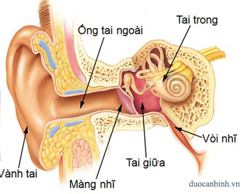 Chứng chóng mặt buồn nôn